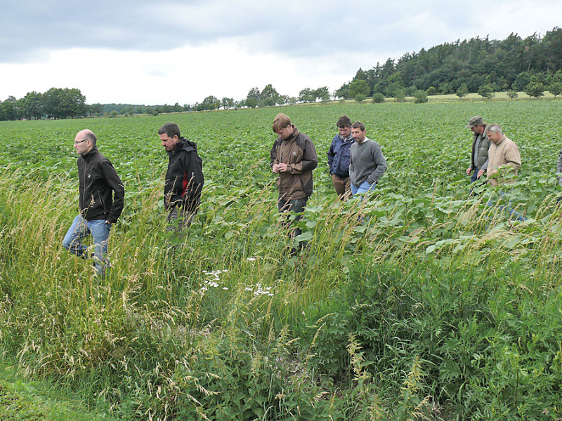 Rätselhafter Anstieg der Bodenpreise im Landkreis